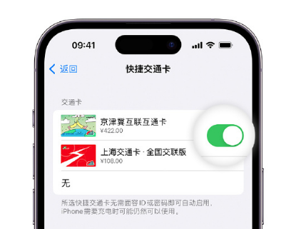 古城apple维修点分享iPhone上更换Apple Pay快捷交通卡手绘卡面 