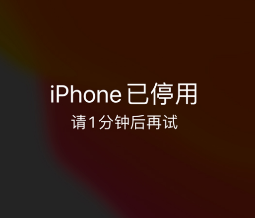 古城苹果手机维修分享:iPhone 显示“不可用”或“已停用”怎么办？还能保留数据吗？ 