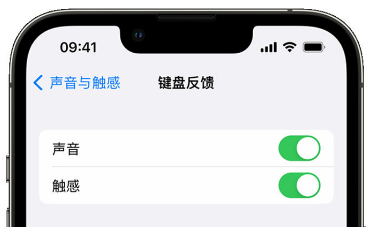 古城苹果手机维修分享iPhone 14触感键盘使用方法 