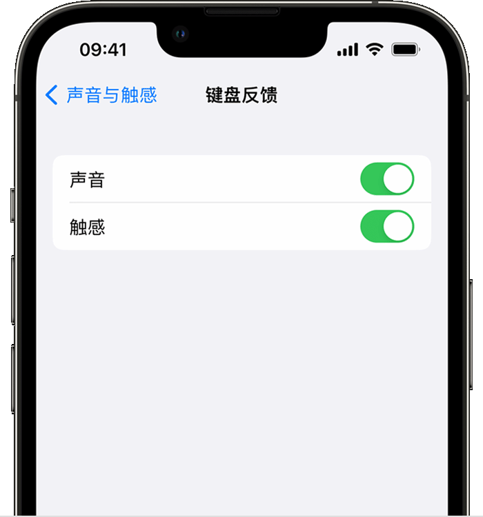 古城苹果14维修店分享如何在 iPhone 14 机型中使用触感键盘 