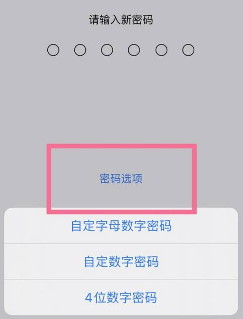 古城苹果14维修分享iPhone 14plus设置密码的方法 