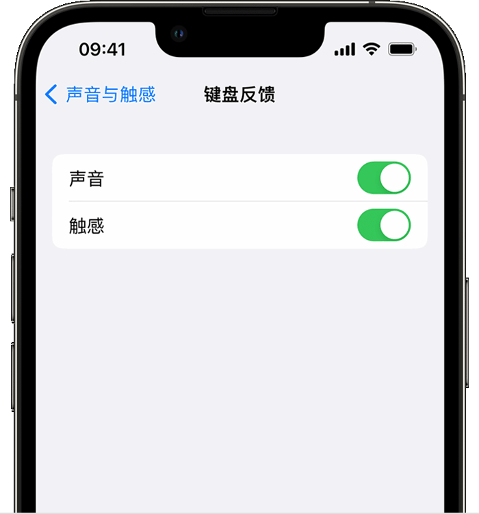 古城苹果14维修分享iPhone 14 系列机型如何开启键盘声音或触感反馈 