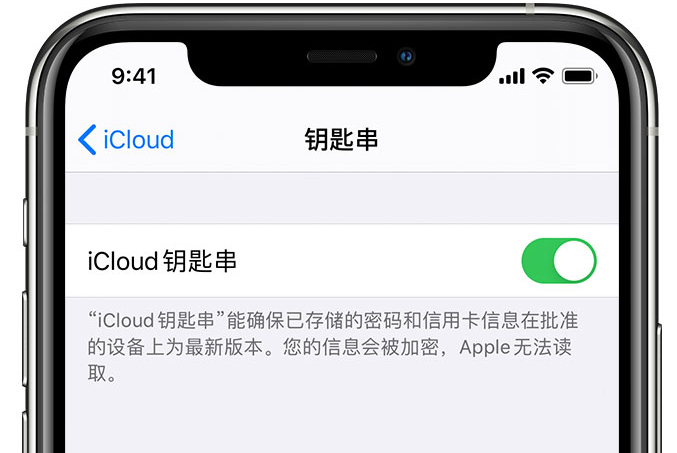 古城苹果手机维修分享在 iPhone 上开启 iCloud 钥匙串之后会储存哪些信息 
