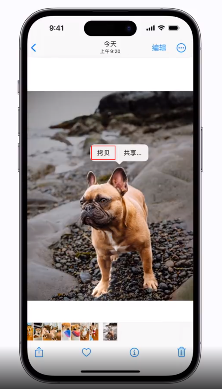 古城苹果手机维修分享 iOS 16 自带一键抠图功能 