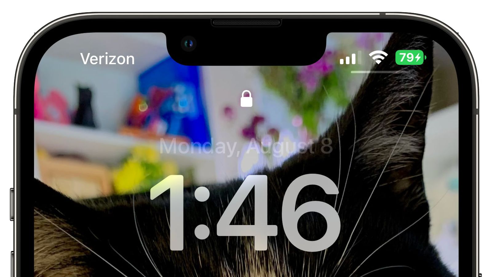古城苹果手机维修分享iOS 16 beta 5 支持状态栏显示电池百分比，如何开启？支持哪些机型 