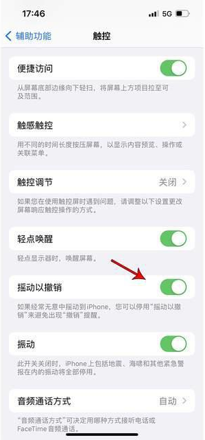 古城苹果手机维修分享iPhone手机如何设置摇一摇删除文字 